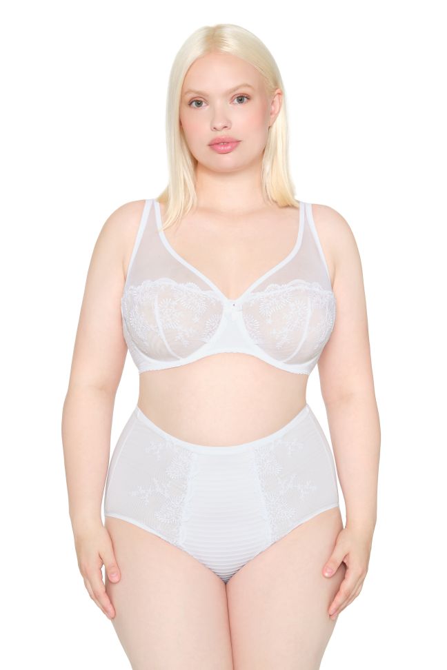 ELISE - SHAPING BRIEF 2