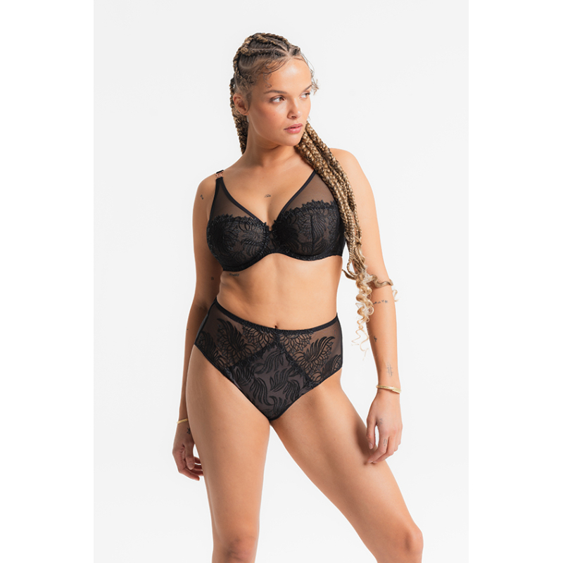 SWAN - High Brief
