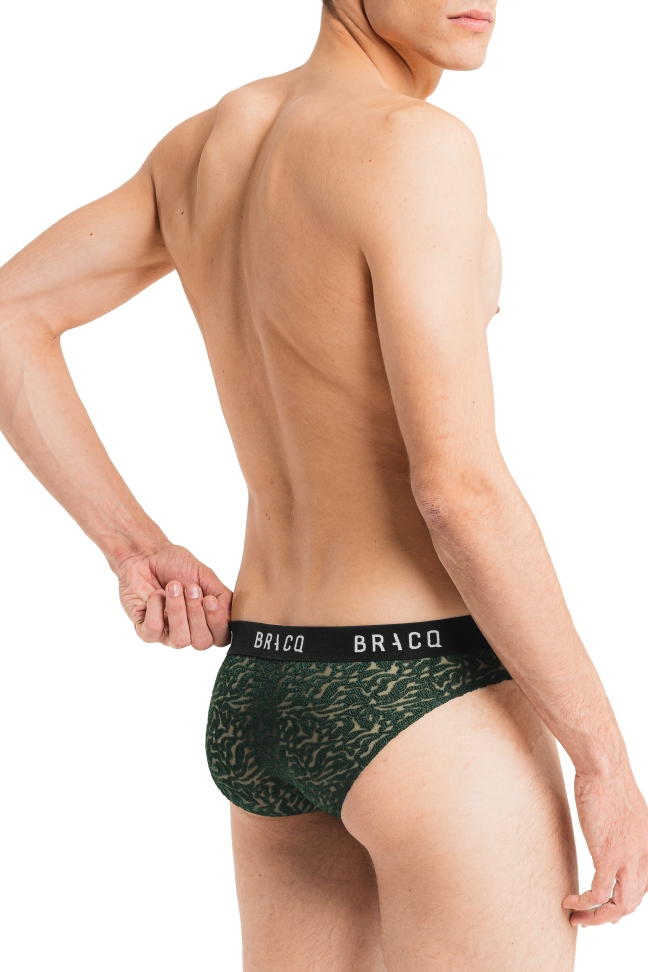 Electric Waves - Brief