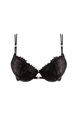 SWAN – PUSH-UP-BH 2