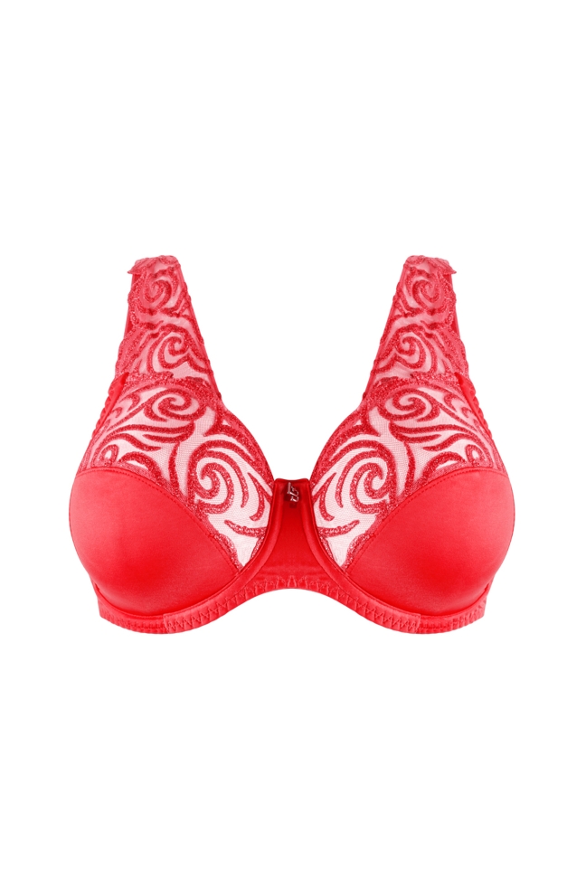 TRIBAL - VOLLE CUP BH 2