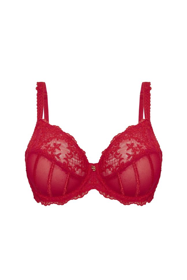 VICTORIA - FULL-COVER BRA 2